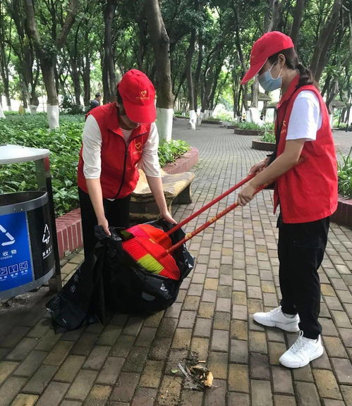 节后保洁，志愿者服务让城市更美丽