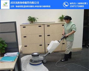 选择专业保洁服务，打造清新居家空间——龙胜物业推荐体验